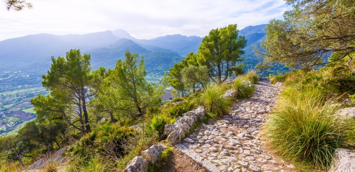 Path in the Serra de Tramuntana, Majorca